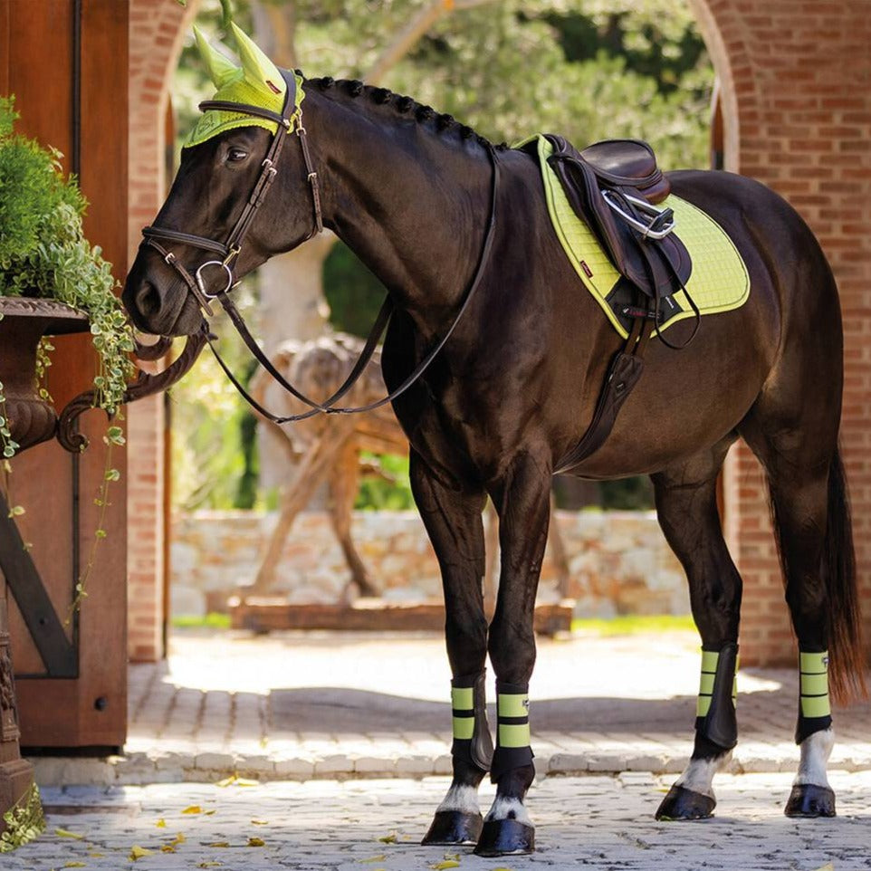 Horse Gifts for Horse Lovers - On The Bit Tack and Apparel - In Canada