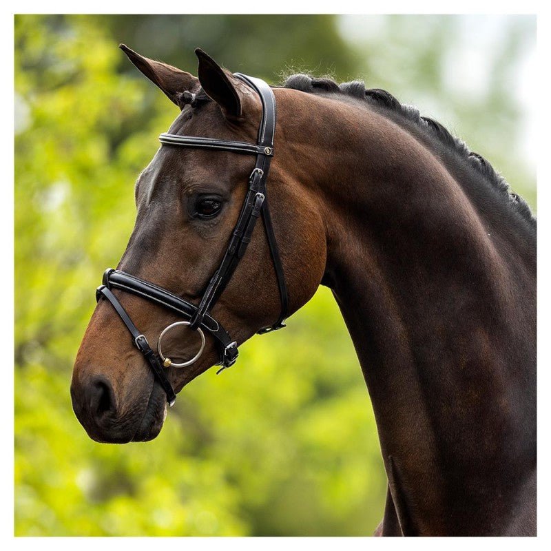 BR Equestrian Kendal Snaffle Bridle picture