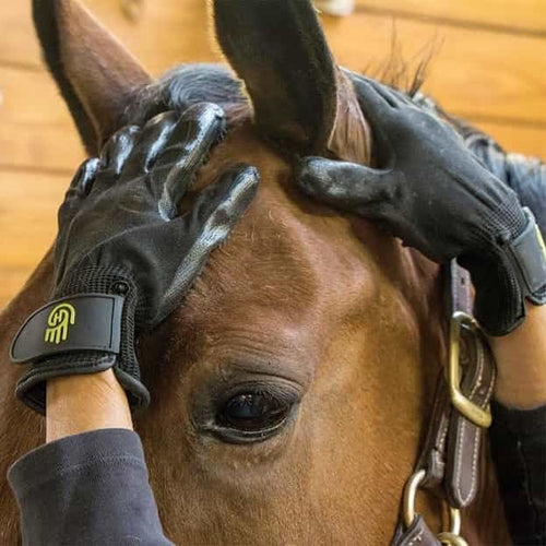 HandsOn Grooming Gloves | On The Bit Tack and Apparel in Canada