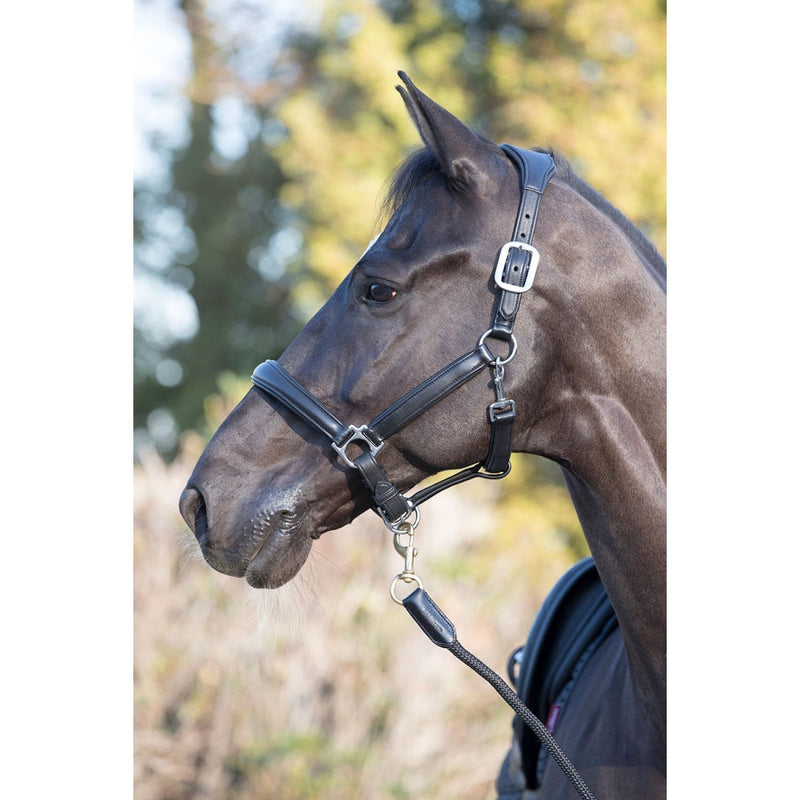 LeMieux Anatomic Leather Headcollar | On The Bit Tack and Apparel in Canada