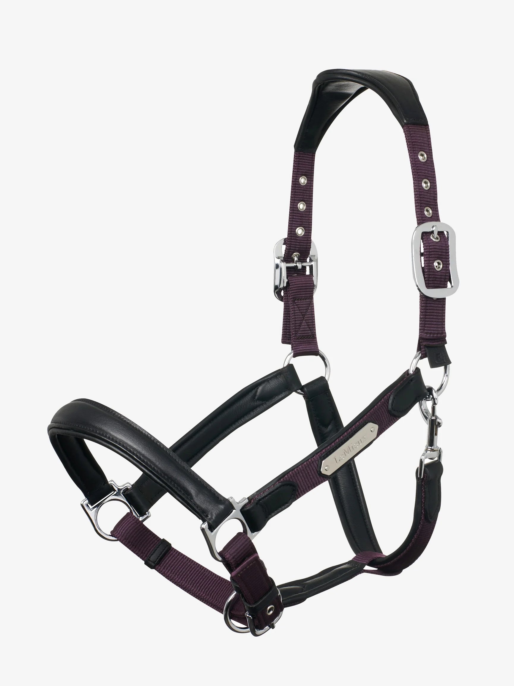 LeMieux Capella Halter at On The Bit Tack And Apparel – On The Bit Tack and  Apparel